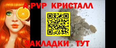 гашик Моздок