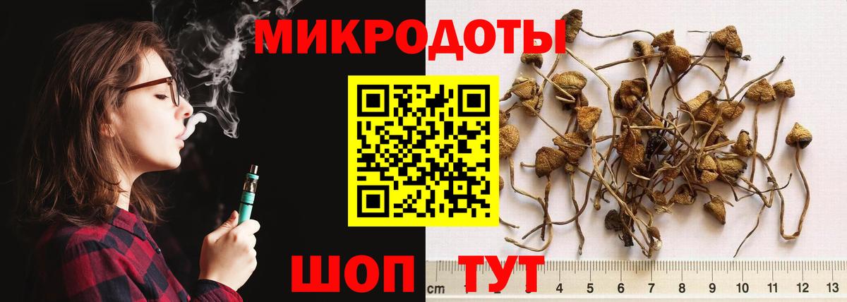 Псилоцибиновые грибы прущие грибы Усть-Илимск